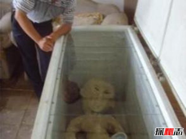 電網(wǎng)電死外星人是真的嗎?揭秘電死外星人事件的真相