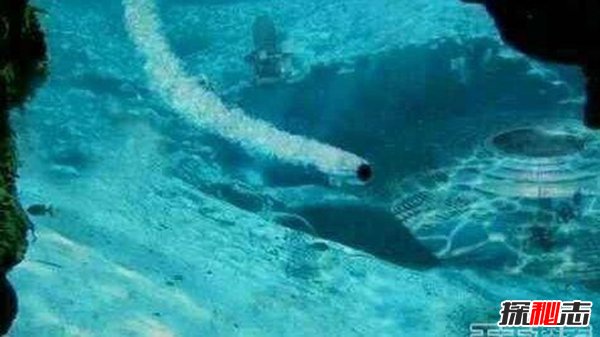 海底發(fā)現外星人基地,揭秘外星人的基地在哪里